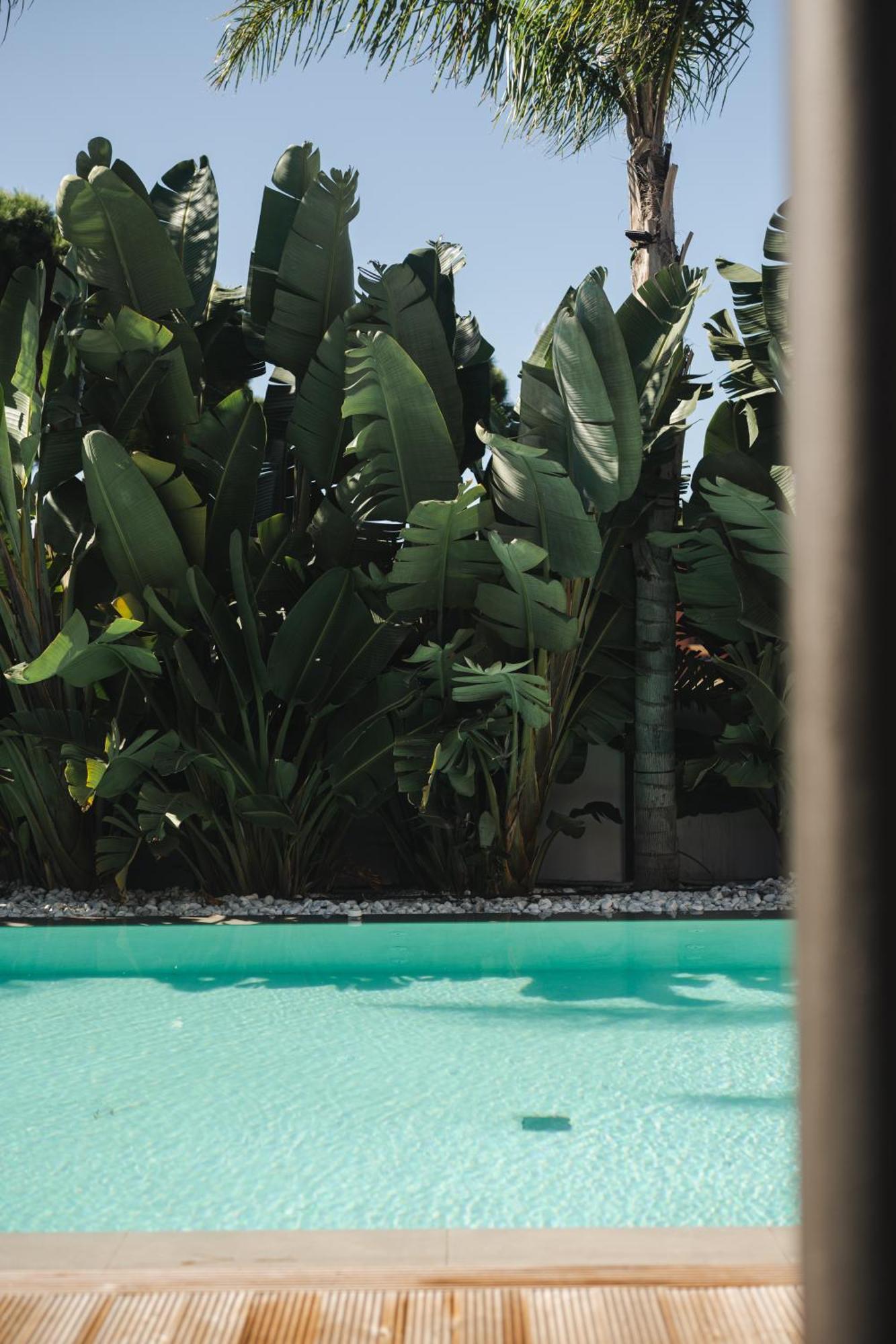 Casa Cuatro Boutique Hotel - Adults Recommended Ново-Санкти-Петри Экстерьер фото